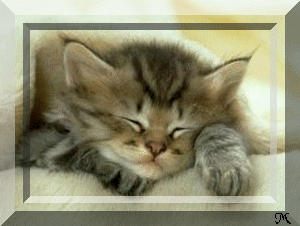 pour mon amie !!!